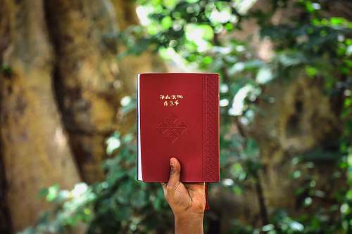 langano lake person holding up high red label book ethiopia